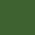 Preserved Reindeer Moss GRASS GREEN DARK