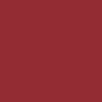 Preserved Reindeer Moss RED