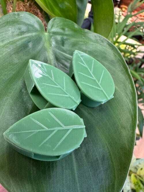 Leaf-Shaped Wall Plant Clips, 10-Pack