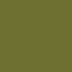 Preserved Natural Green Carpet Sheet Moss Hypnum