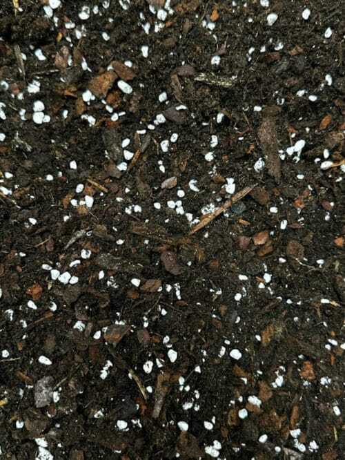 houseplants soil by highland moss 3l