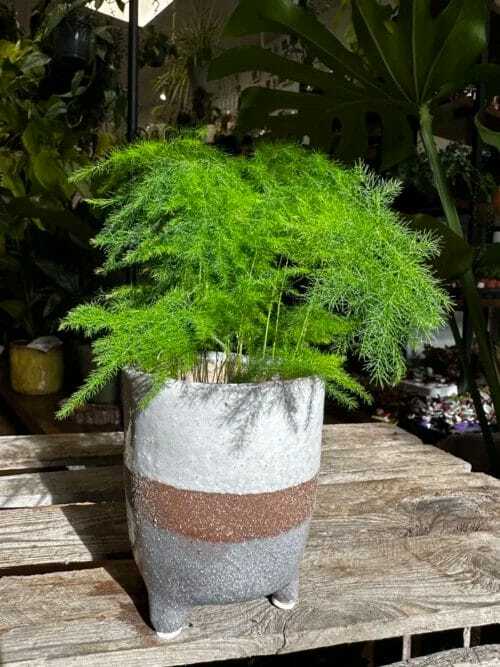 glazed brown grey planter on legs