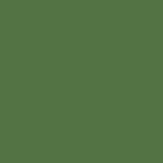 Preserved Reindeer Moss MEDIUM GREEN