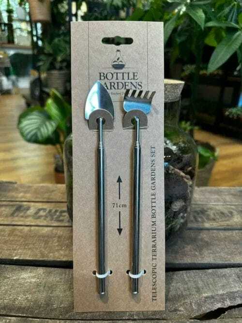 long terrarium tweezers