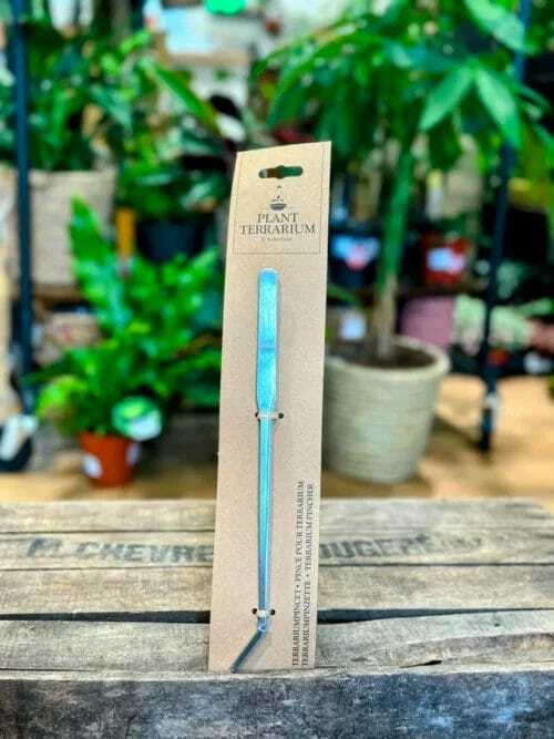 long terrarium tweezers