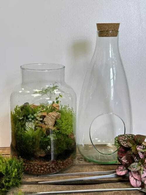 Make Your Own Open Terrarium Kit | Eco-Glass