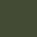 Preserved Reindeer Moss PINE GREEN