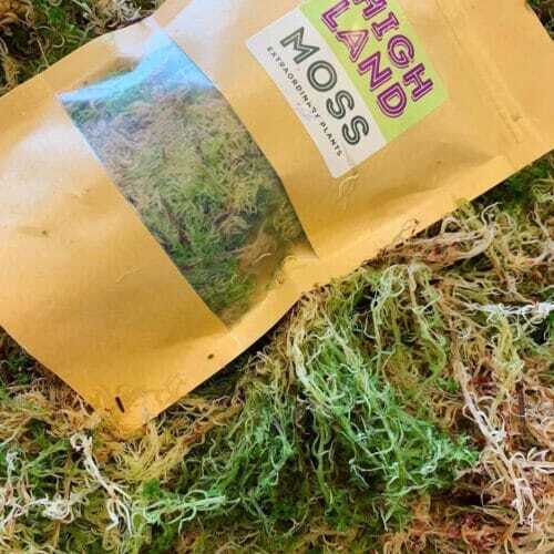 Bag fresh sphagnum moss in classic green/brown - 100g