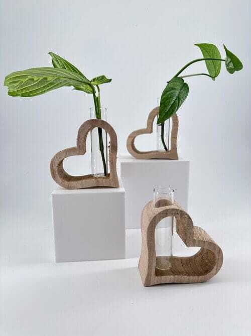 Heart-shaped wooden vases with glass test tubes and vibrant plants for stylish home decor.