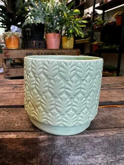 monstera and fern leaf design concrete planter